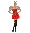 "COCCINELLE" (robe, ailes, antennes)