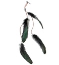 "PINCE À CHEVEUX PLUMES NOIRES"