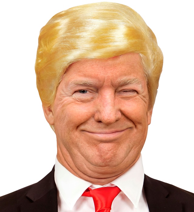 [02097] "PERRUQUE PRESIDENT" en sachet