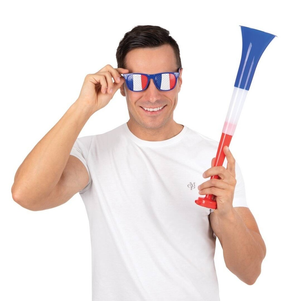 [PTC-10102] Lunettes bleu, blanc, rouge - mixte