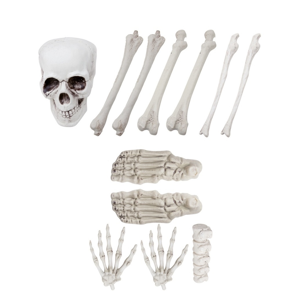 [PTC-11360] Sac d'ossements - lot de 12 pièces