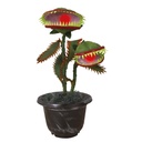 Plante carnivore - à poser - animé, sonore, lumineux - 36cm