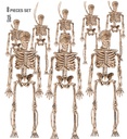 Set de "8 SQUELETTES" 15 cm (avec ficelle de 11 m pour accrocher)