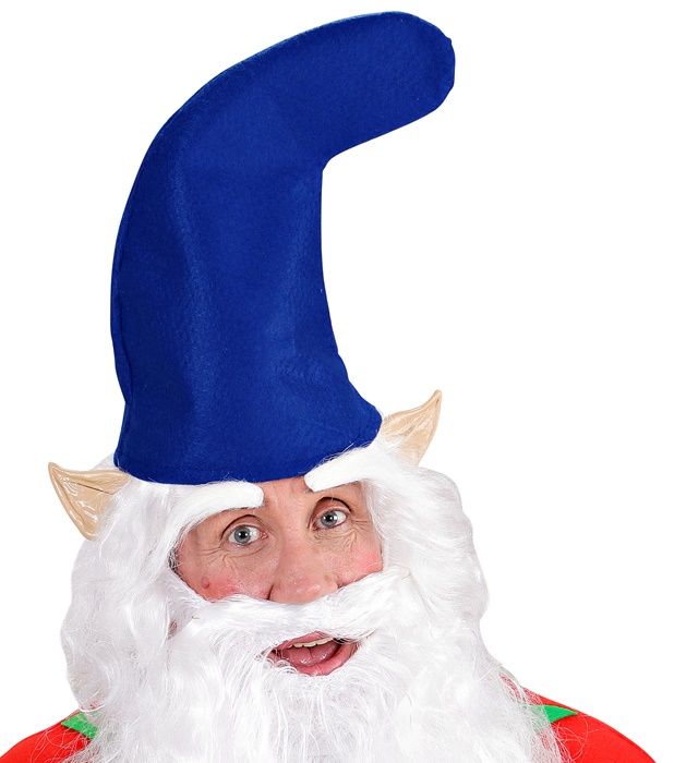 "CHAPEAU BLEU DE NAIN"