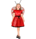 "COCCINELLE" (robe, jupon, ceinture avec noeud, ailes, antennes)
