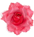 Clip pour cheveux rose rose