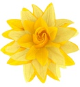 Clip pour cheveux fleur jaune