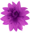 Clip pour cheveux fleur violette
