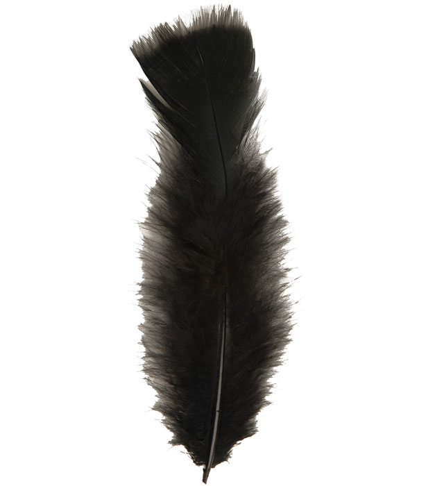 "50 PLUMES" noires -env.10 cm