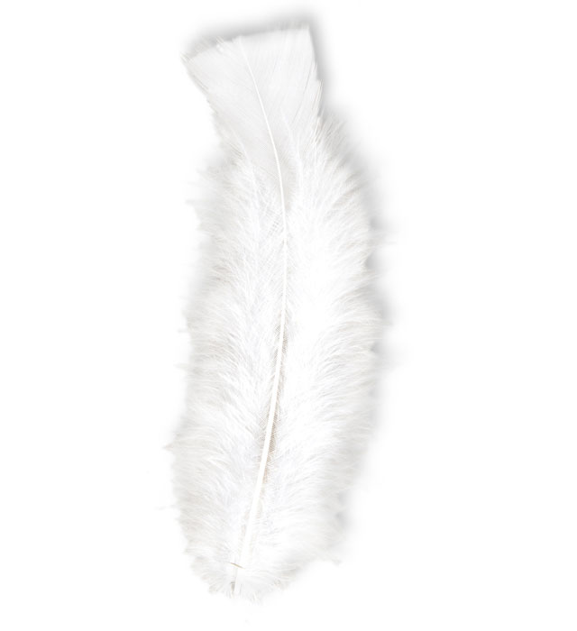 "50 PLUMES" blanches - env. 10 cm