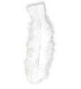 "50 PLUMES" blanches - env. 10 cm