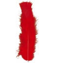"50 PLUMES" rouges - env. 10 cm