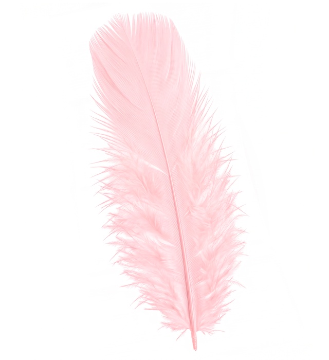 "50 PLUMES" rose pâle - env. 10 cm