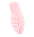 "50 PLUMES" rose pâle - env. 10 cm