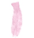 "50 PLUMES" rose pâle - env. 10 cm