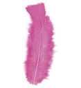 "50 PLUMES" rose - env. 10 cm