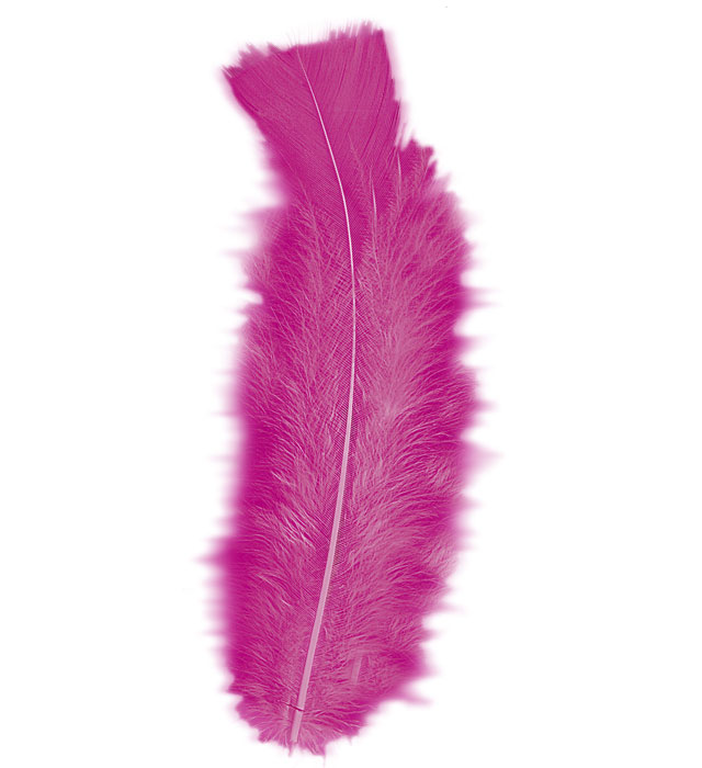 "50 PLUMES" rose vif - env. 10 cm
