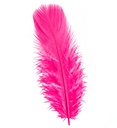 "50 PLUMES" rose vif - env. 10 cm