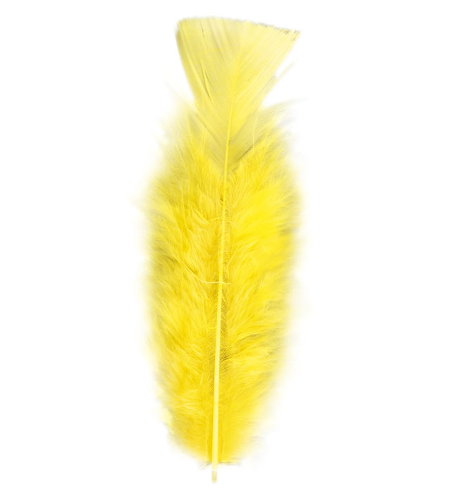 "50 PLUMES" jaunes - env. 10 cm