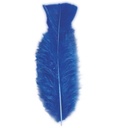 "50 PLUMES" bleues - env. 10 cm