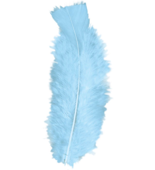 "50 PLUMES" turquoise - env. 10 cm