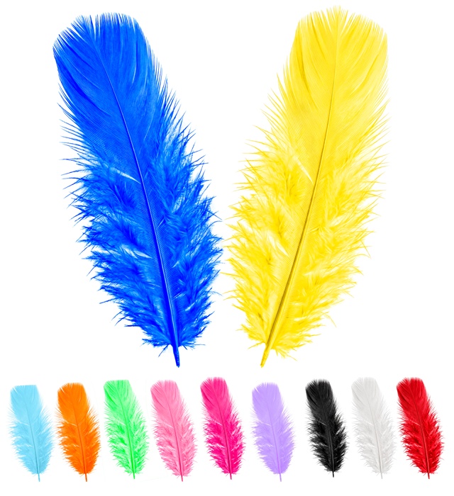 "50 PLUMES" multicolores - env. 10cm