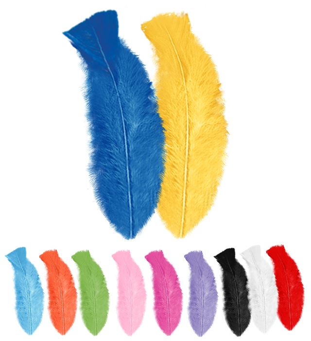 [0510M] "50 PLUMES" multicolores - env. 10cm