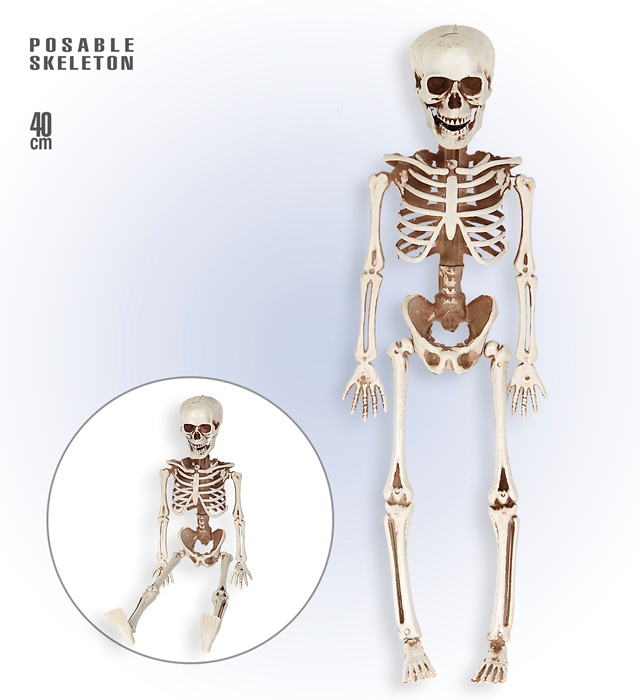 [05359] "SQUELETTE" posable 40 cm