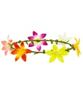 "DIADEME HIBISCUS"