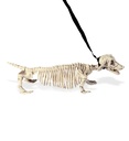 "CHIEN TECKEL SQUELETTE EN LAISSE"55 cm