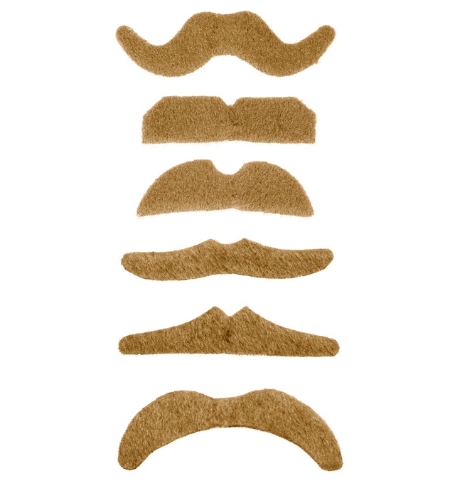 "MOUSTACHE BLONDE" adhesive - 6 styles ass.