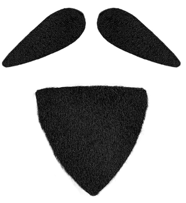 [0842V] "MOUSTACHE ET BOUC DIPLOMATE" adhésifs - noirs