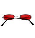 "LUNETTES DE VAMPIRE"