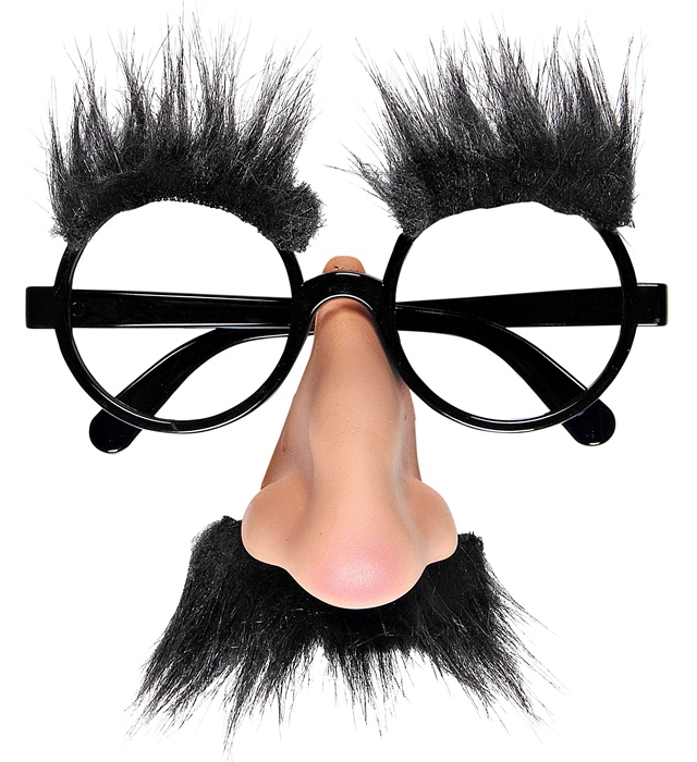 "LUNETTES AVEC NEZ,  MOUSTACHE ET  SOURCILS"