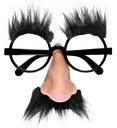 "LUNETTES AVEC NEZ,  MOUSTACHE ET  SOURCILS"