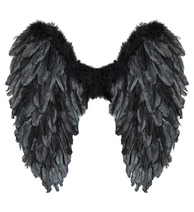 "AILES PLABLES AVEC PLUMES NOIRES" 50x50 cm