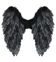 "AILES PLABLES AVEC PLUMES NOIRES" 50x50 cm