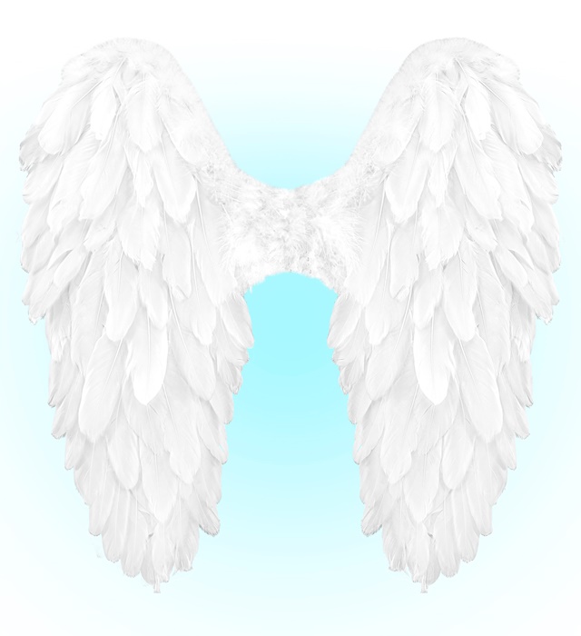 [12191] "AILES PLIABLES AVEC PLUMES BLANCHES" 50x50 cm