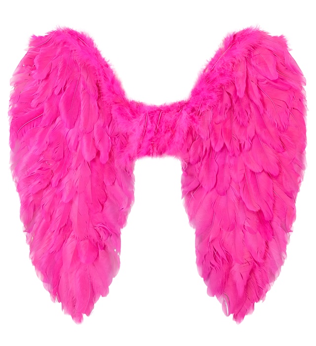"AILES PLIABLES AVEC PLUMES ROSES" 50x50 cm