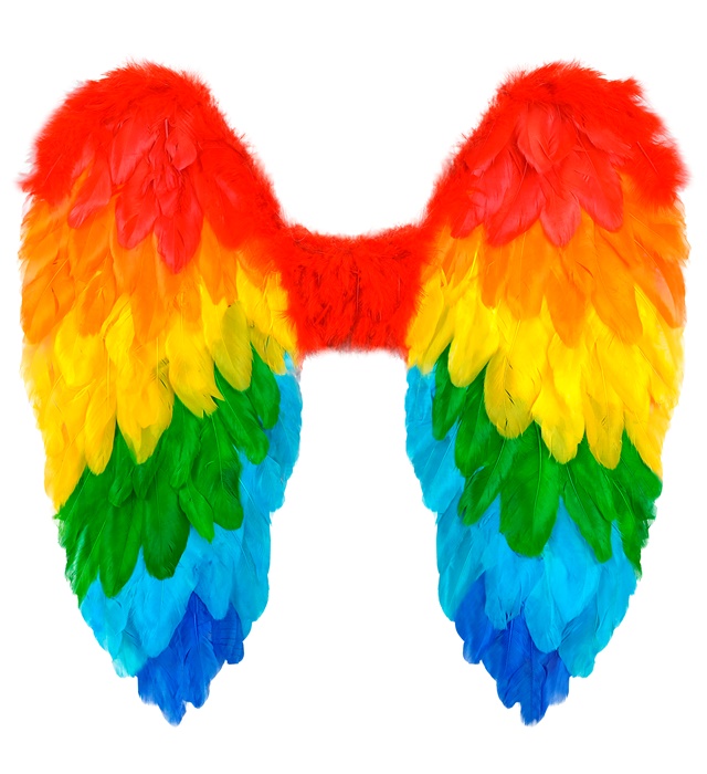 "AILES PLIABLES AVEC PLUMES ARC-EN-CIEL" 50x50 cm