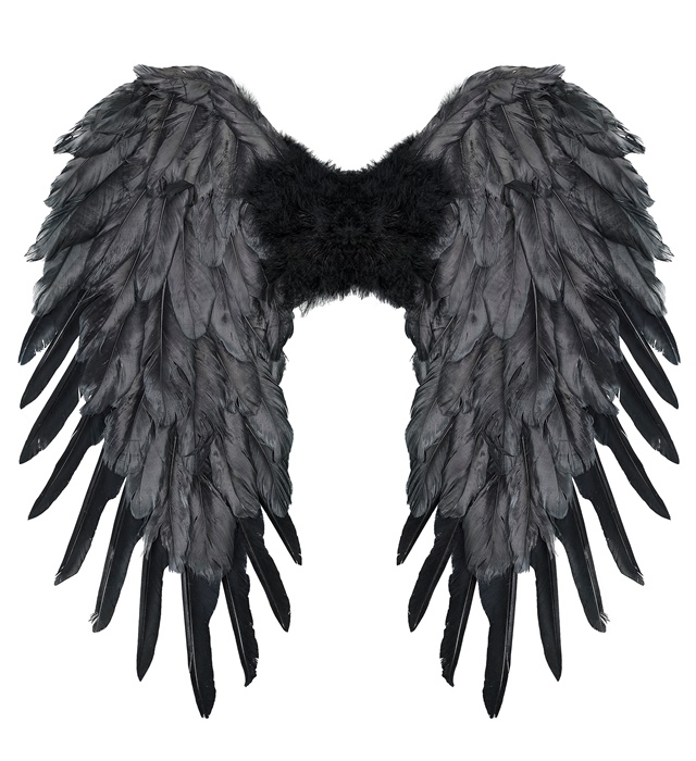 "AILES PLIABLES AVEC PLUMES NOIRES" 50x50 cm