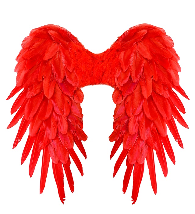 "AILES PLIABLES AVEC PLUMES ROUGES" 50x50 cm