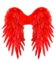 "AILES PLIABLES AVEC PLUMES ROUGES" 50x50 cm