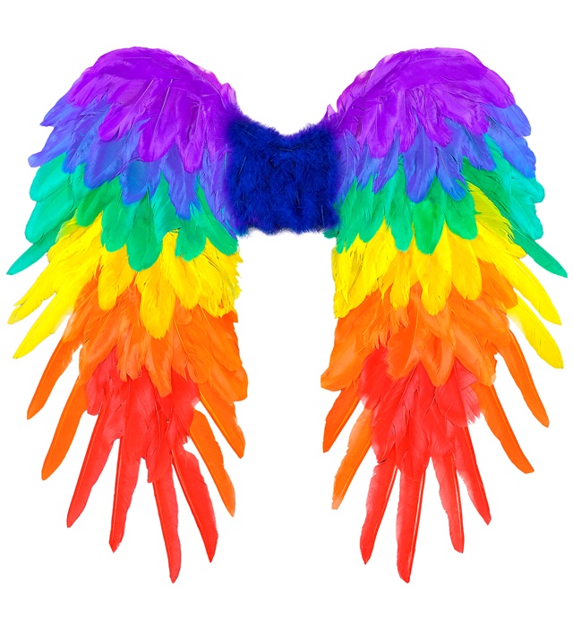 "AILES PLIABLES AVEC PLUMES ARC-EN-CIEL" 50x50 cm