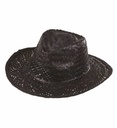 "CHAPEAU PANAMA"