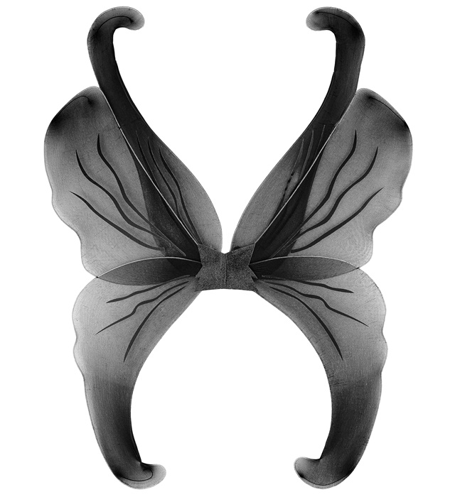 "AILES  NOIRES" 95x110 cm