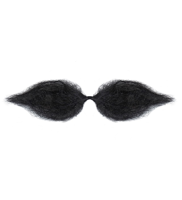 [1641B] "MOUSTACHE SCHNAUZER NOIRE"