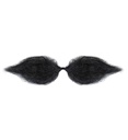 "MOUSTACHE SCHNAUZER NOIRE"