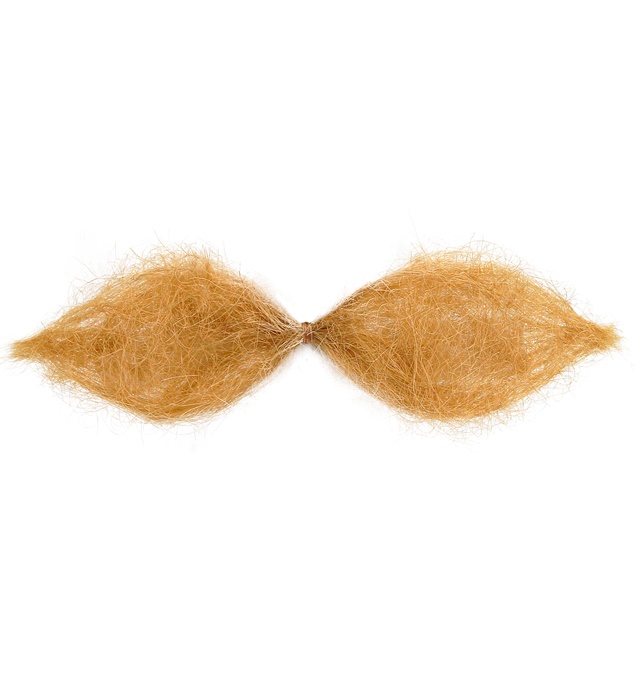 [1642L] MOUSTACHE SCHNAUZER BLONDE"
