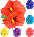 "EPINGLE AVEC 2 FLEURS HIBISCUS" 6 coul.